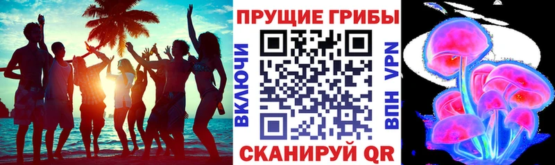 Псилоцибиновые грибы прущие грибы  Донецк 