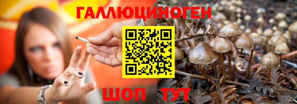 Галлюциногенные грибы Cubensis Донецк